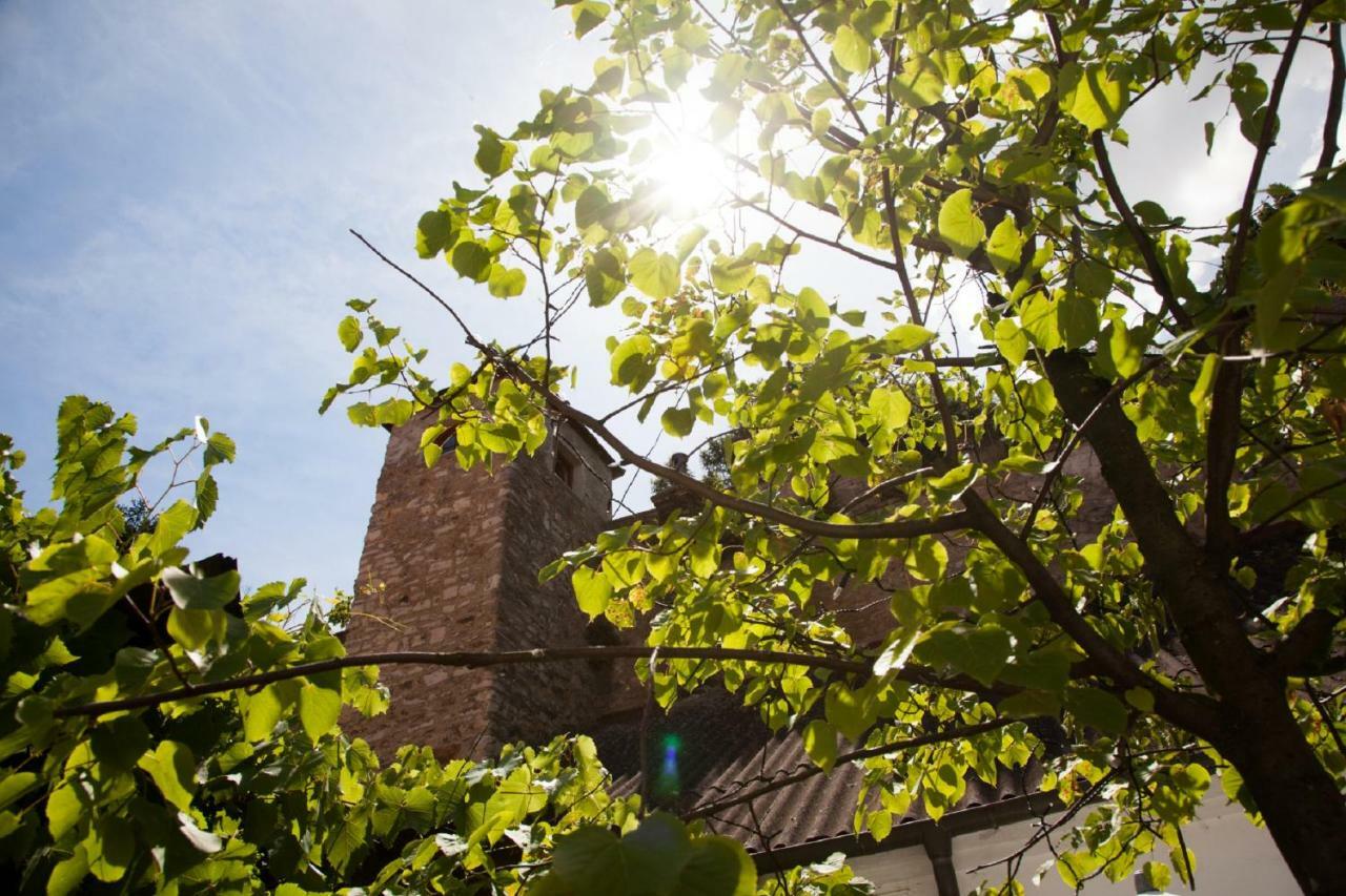 Gasthof Zum Goldenen Anker Hainburg an der Donau Exterior photo
